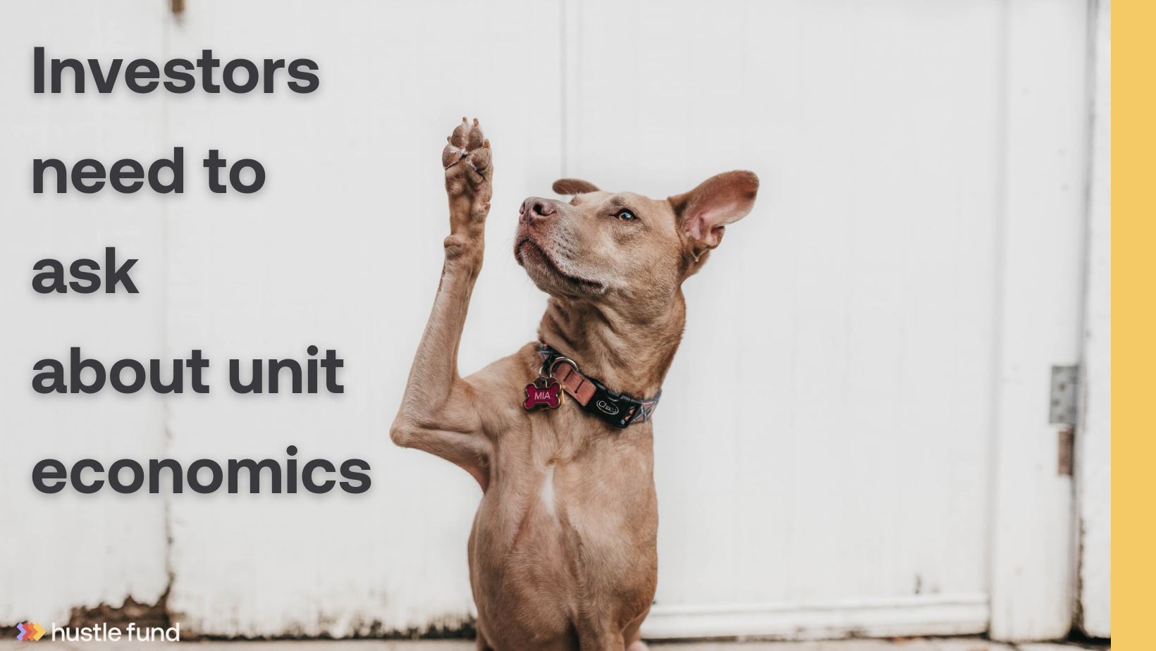 Welcome Fine Hustler We Re Glad You Stopped By Hustle Fund